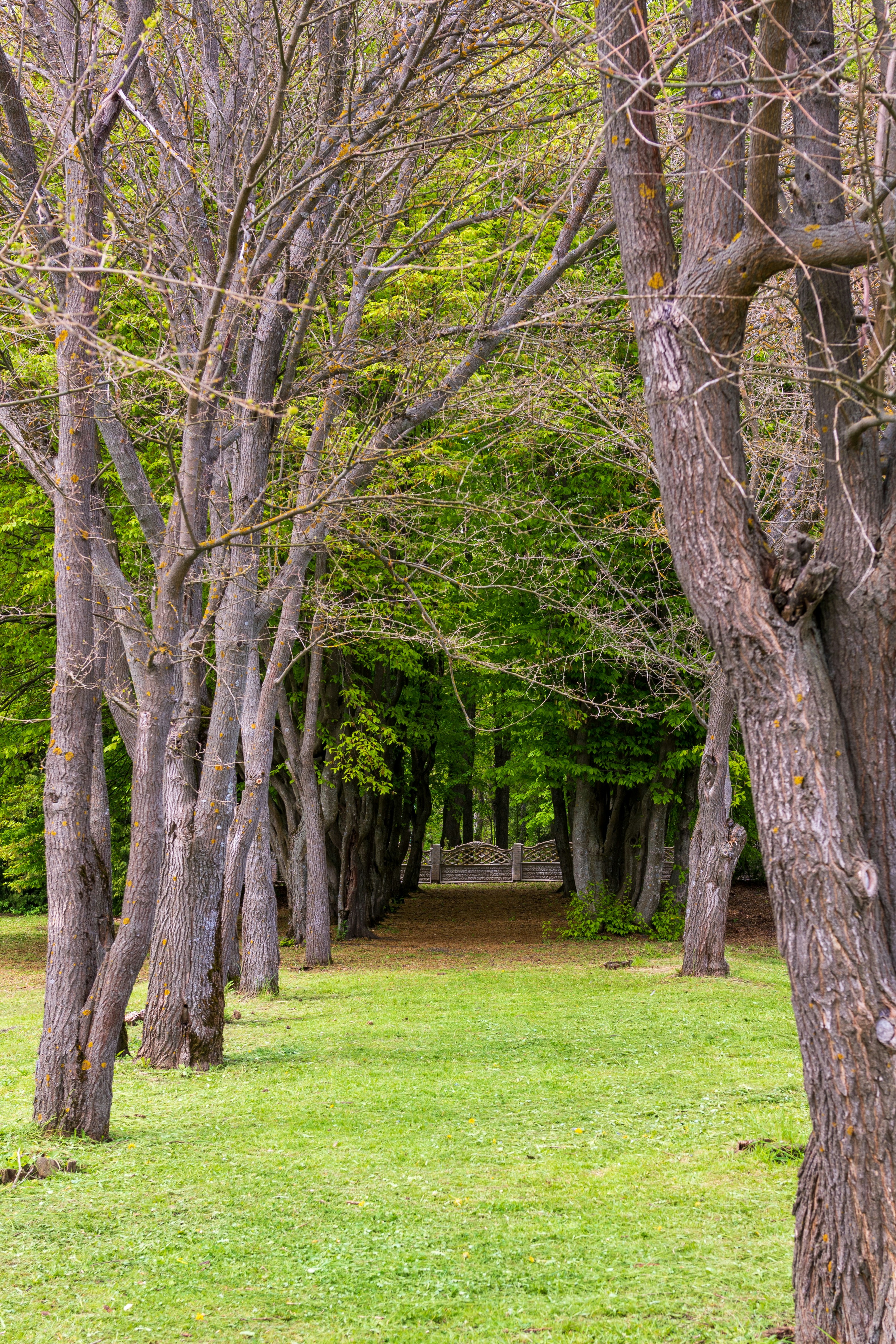 Photo by lipetskaya_zemlya