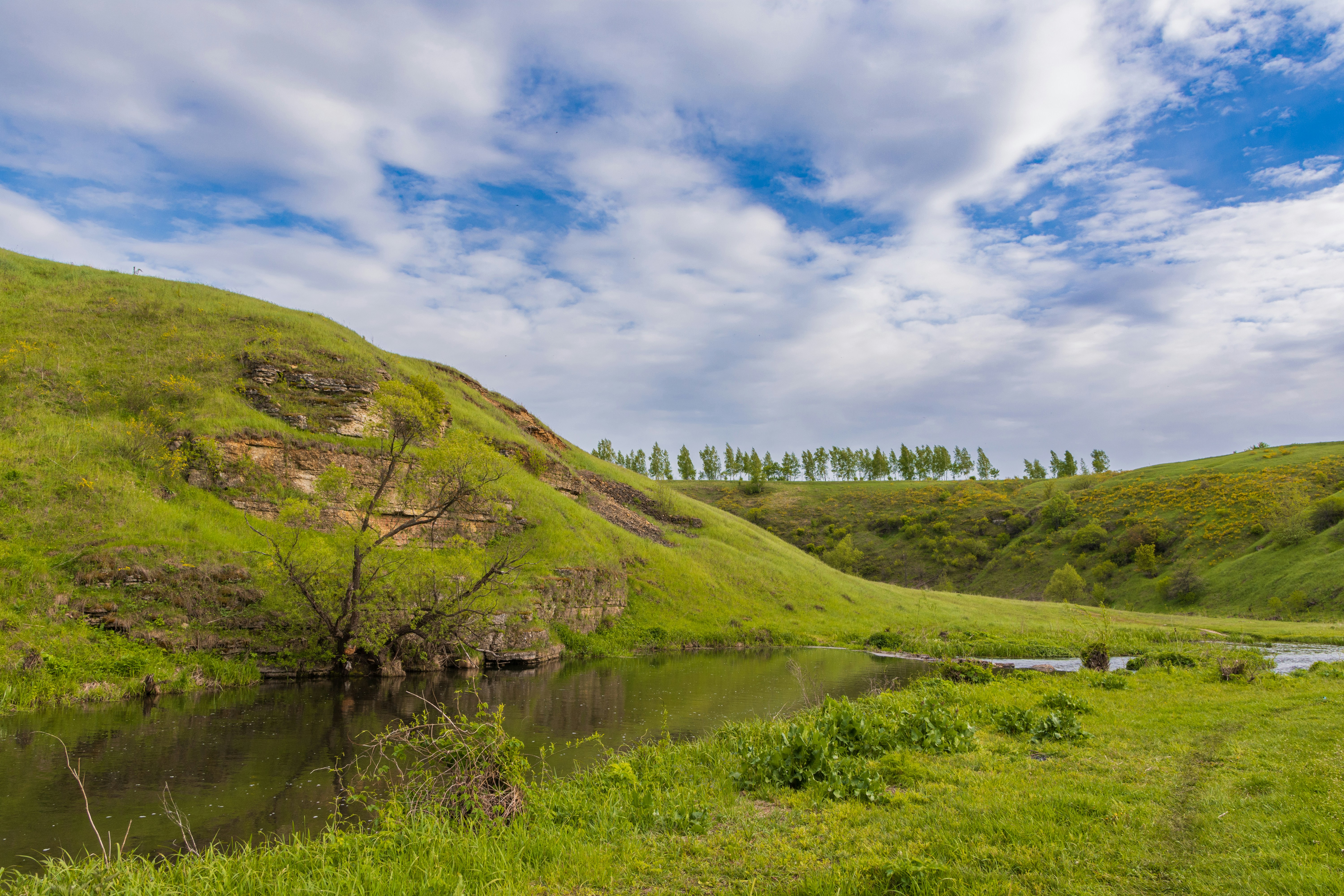 Photo by lipetskaya_zemlya