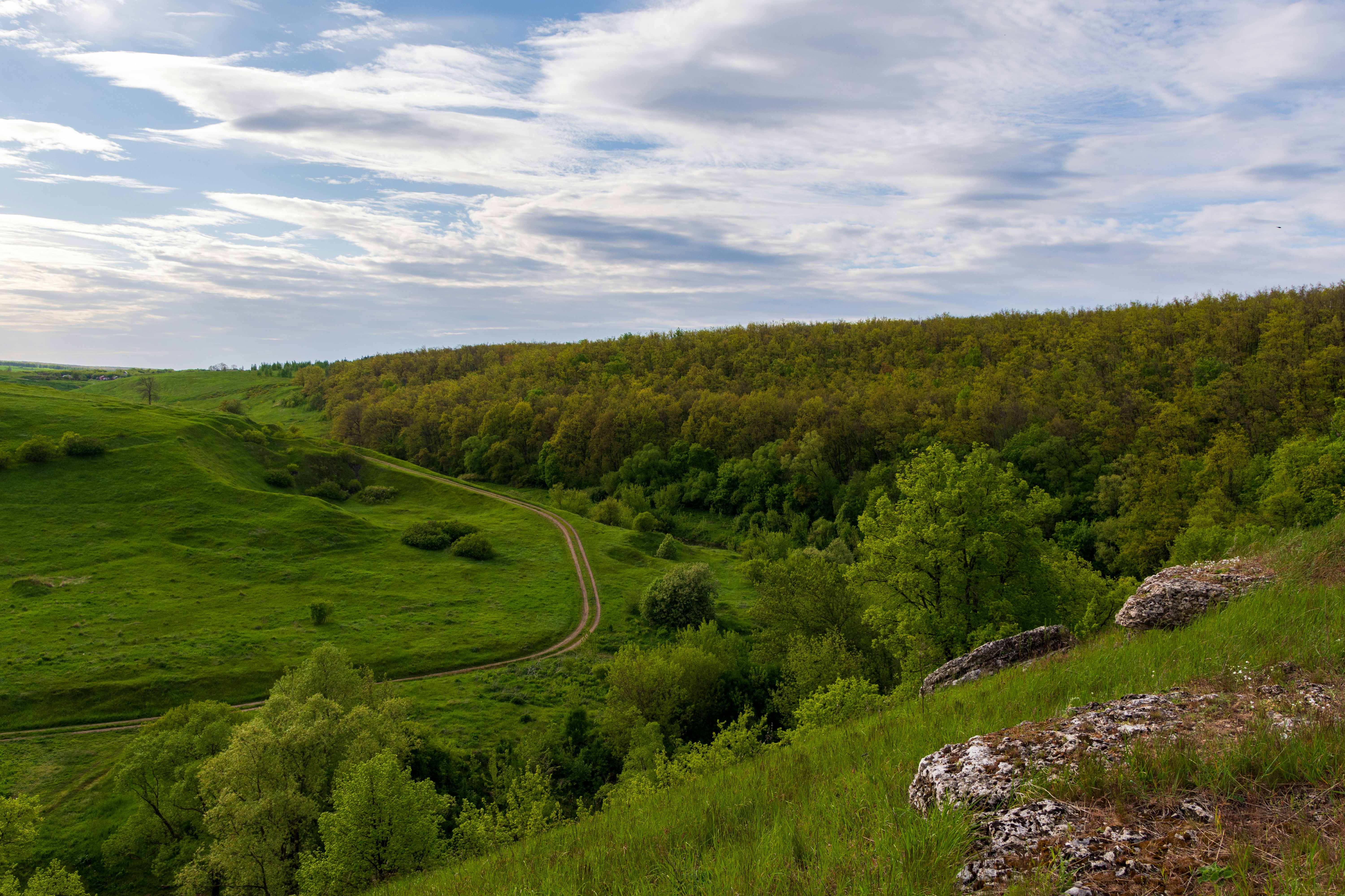 Photo by lipetskaya_zemlya