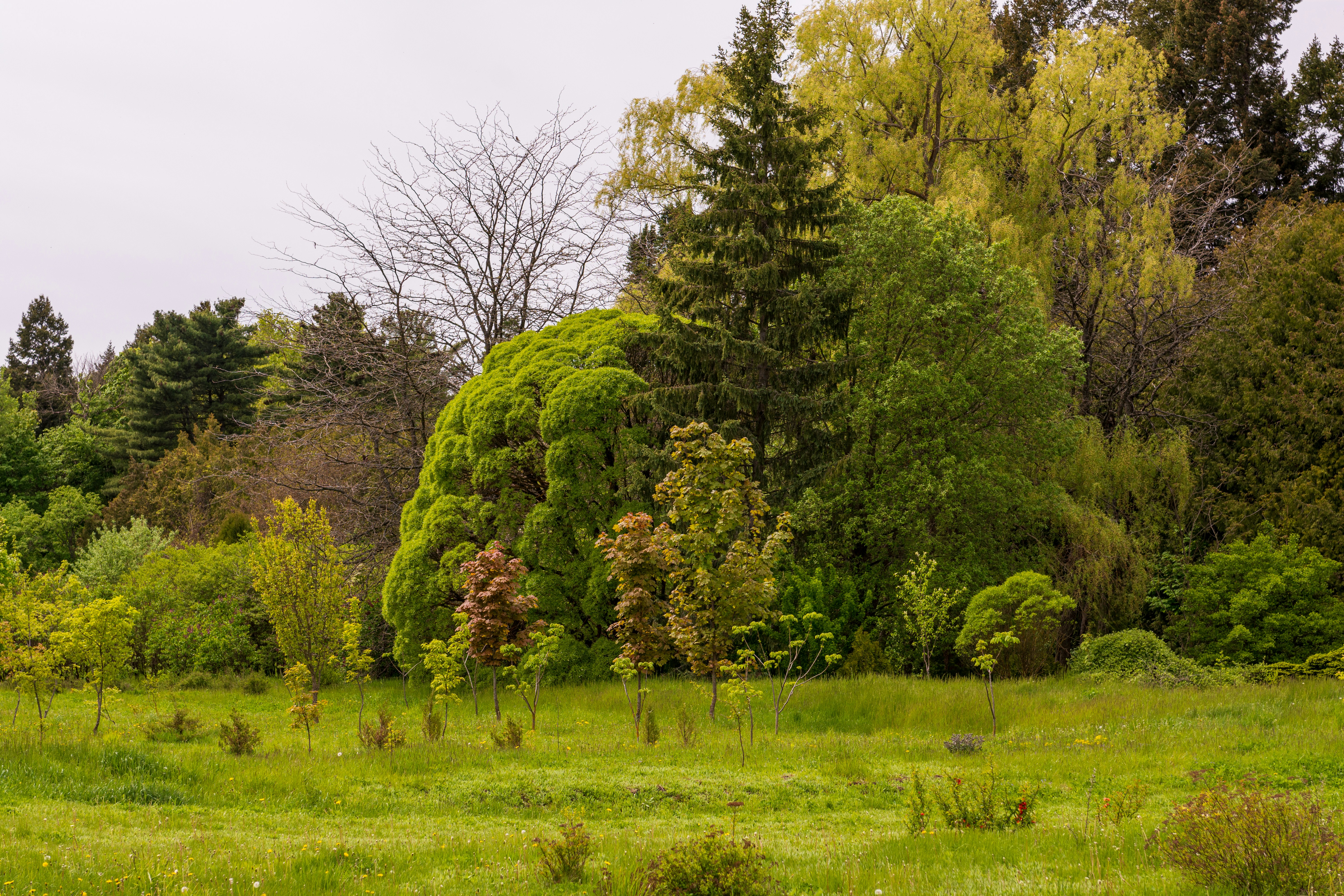 Photo by lipetskaya_zemlya