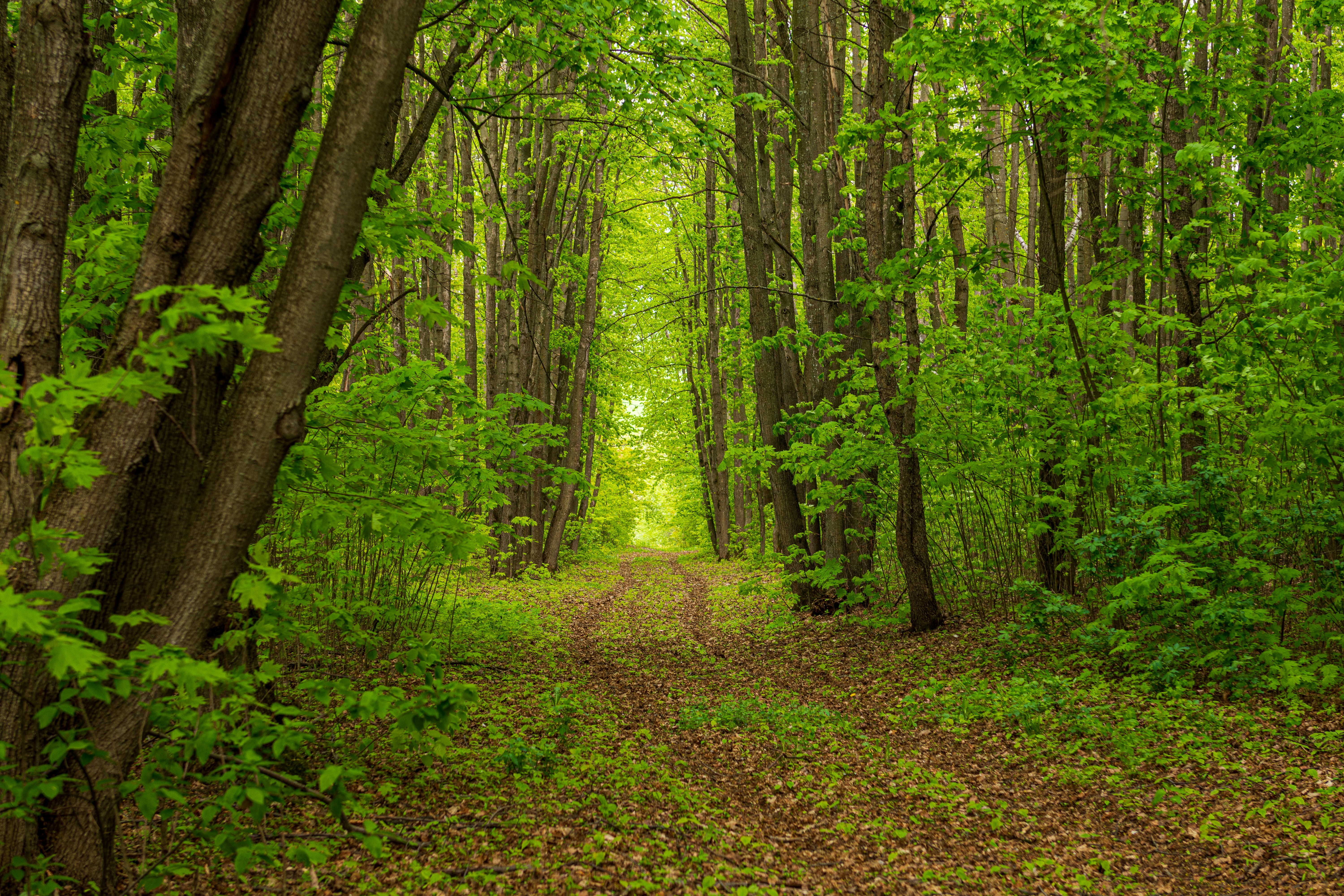 Photo by lipetskaya_zemlya