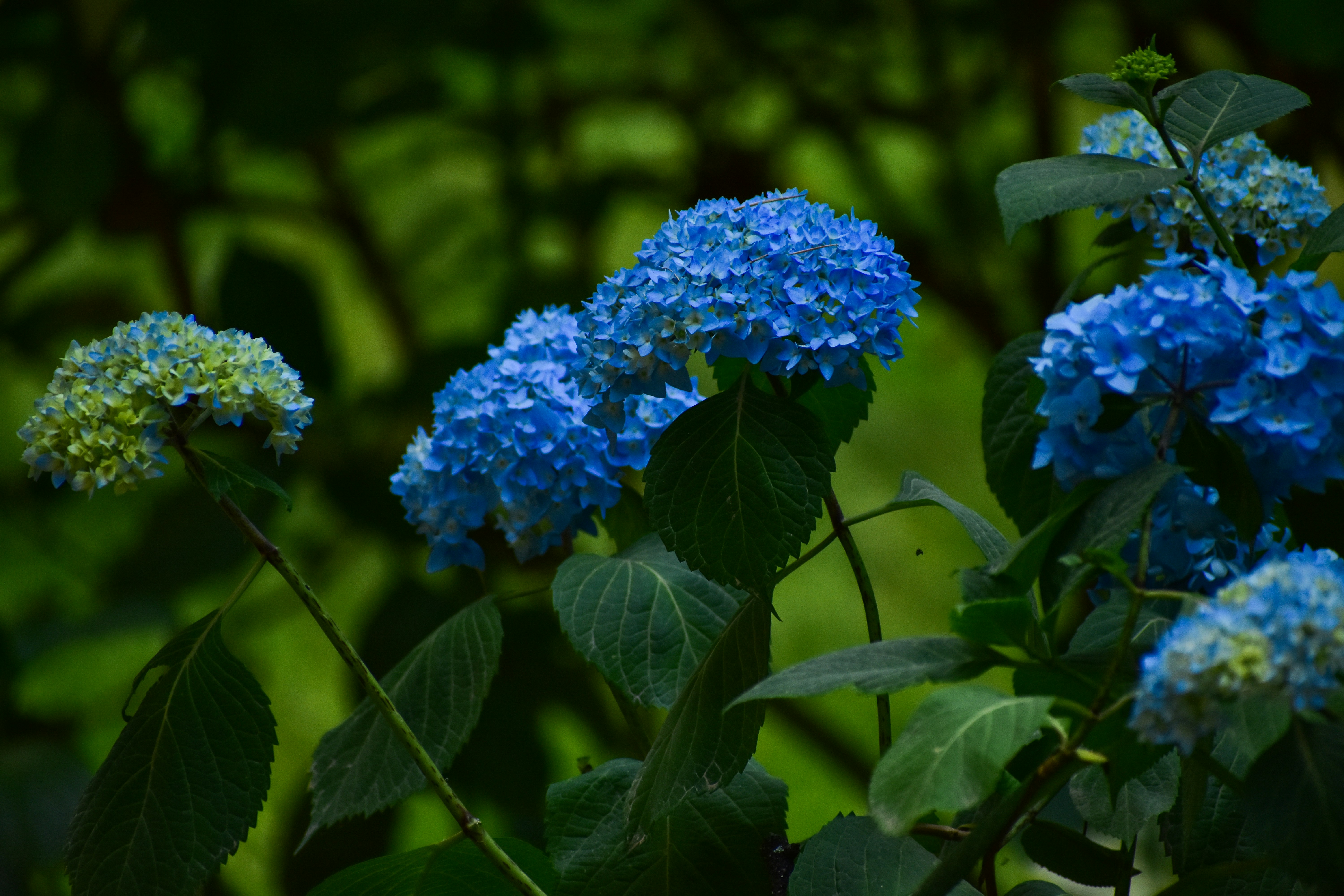 Photo by neelakshi_singh_