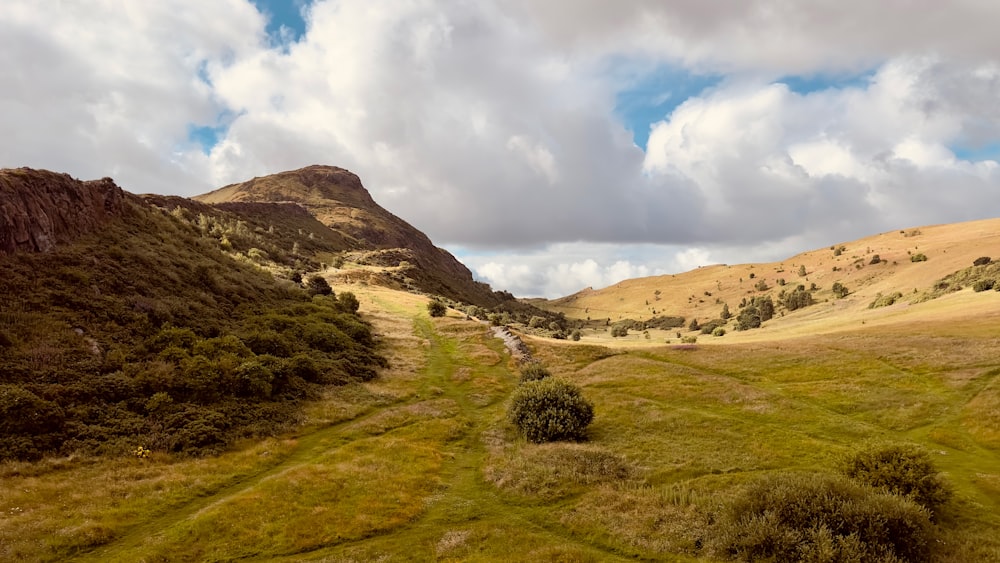 a grassy field with a mountain in the background