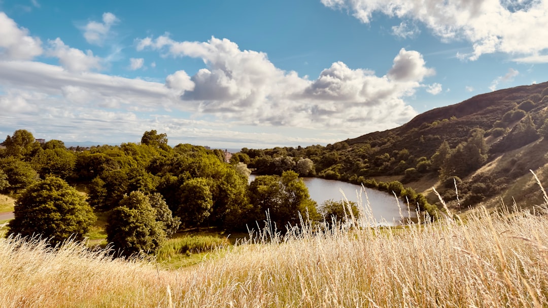 a lake surrounded by tall grass and trees,