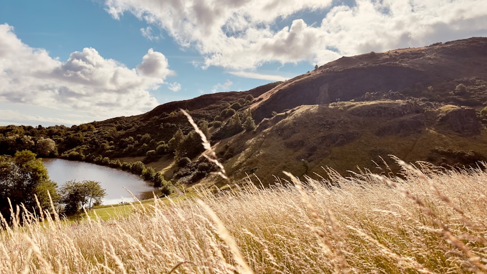 a grassy field with a lake in the middle of it