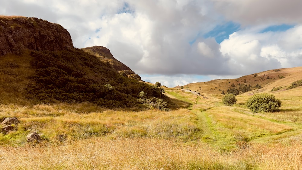 a grassy field with a mountain in the background