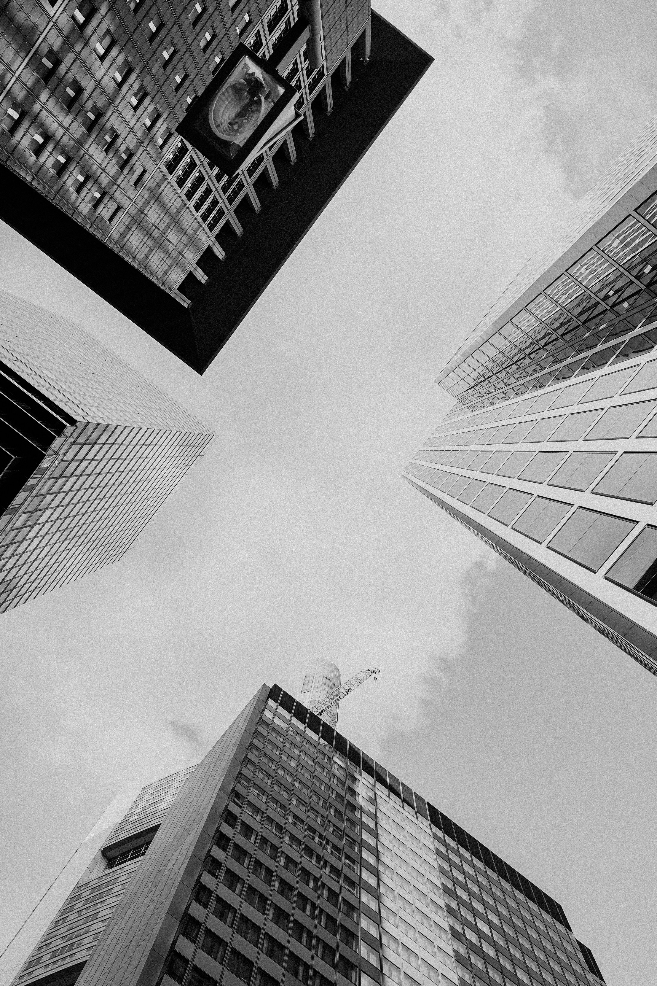 Photo by masoodaslami