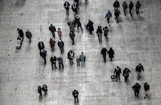 a large group of people walking down a street