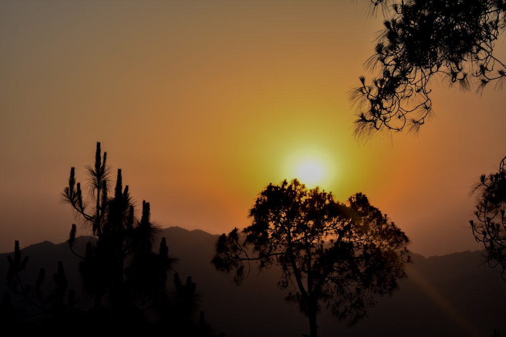 the sun is setting over the mountains and trees