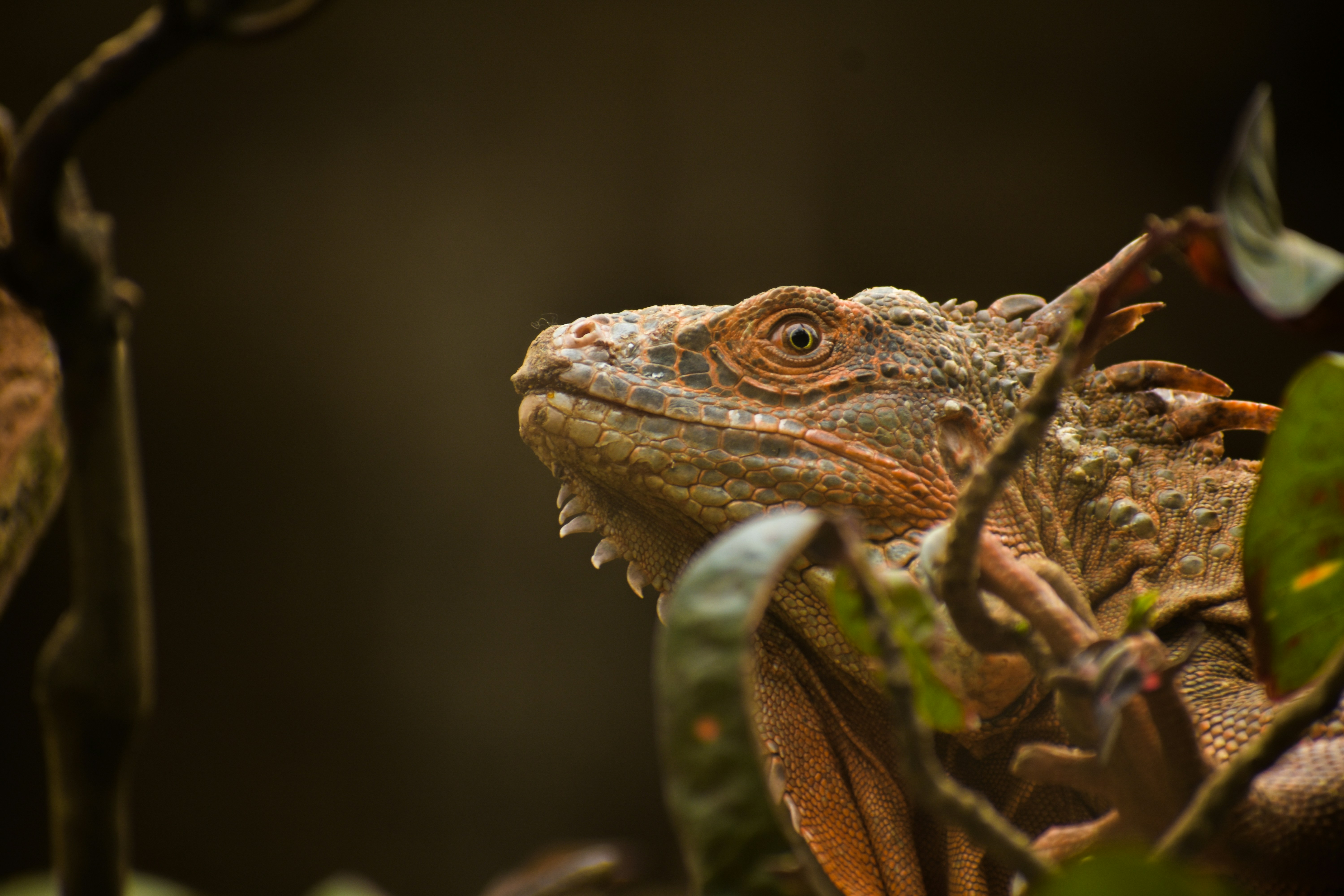 Photo by neelakshi_singh_