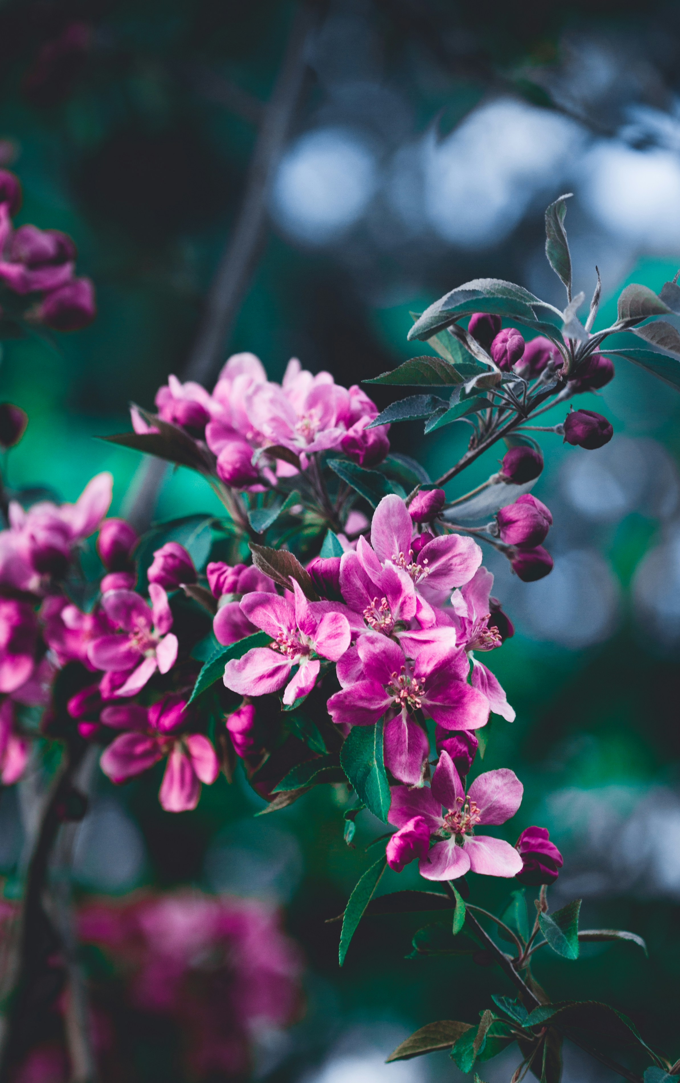 Photo by patrycjajadach