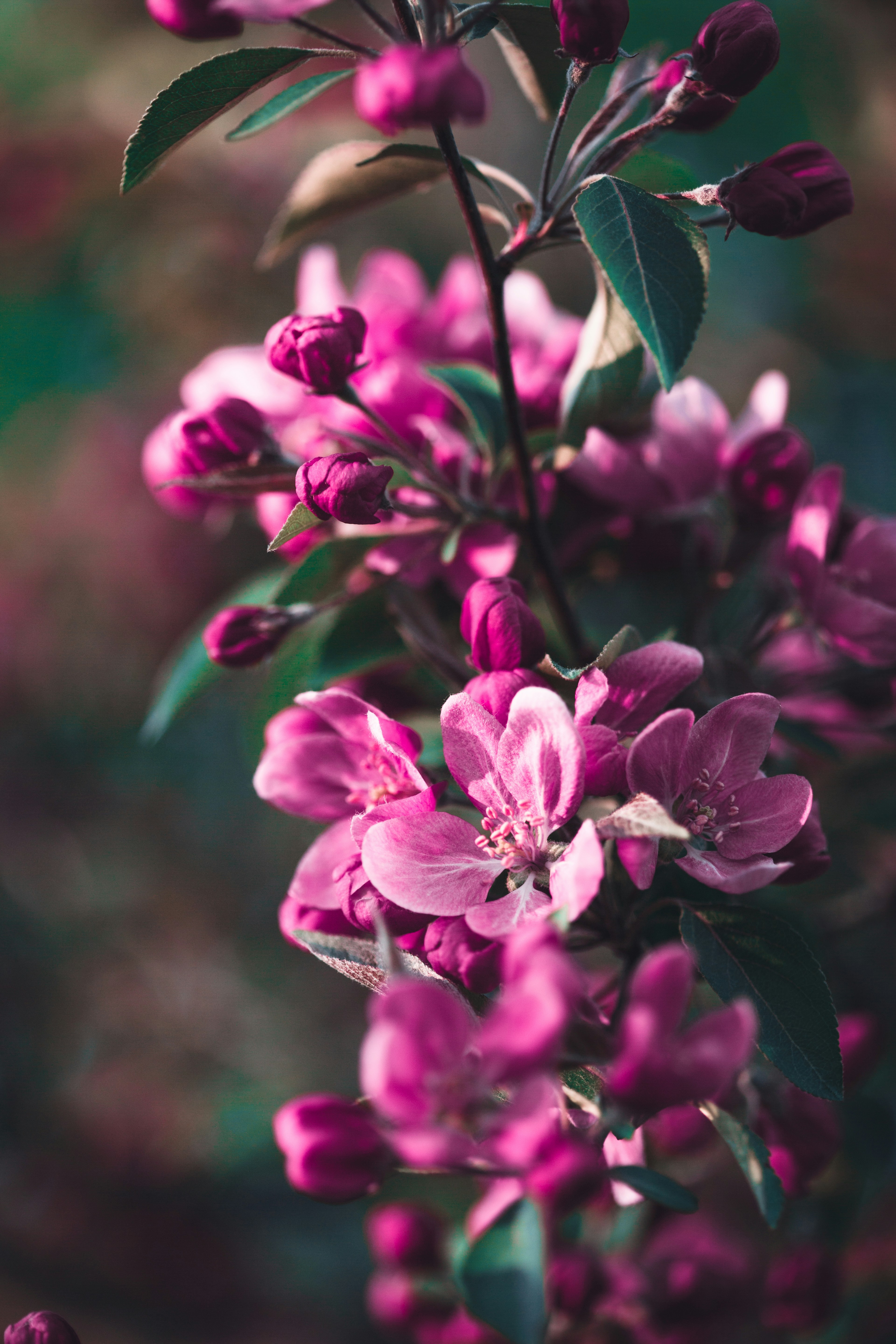 Photo by patrycjajadach