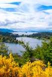 a lake surrounded by trees and yellow flowers