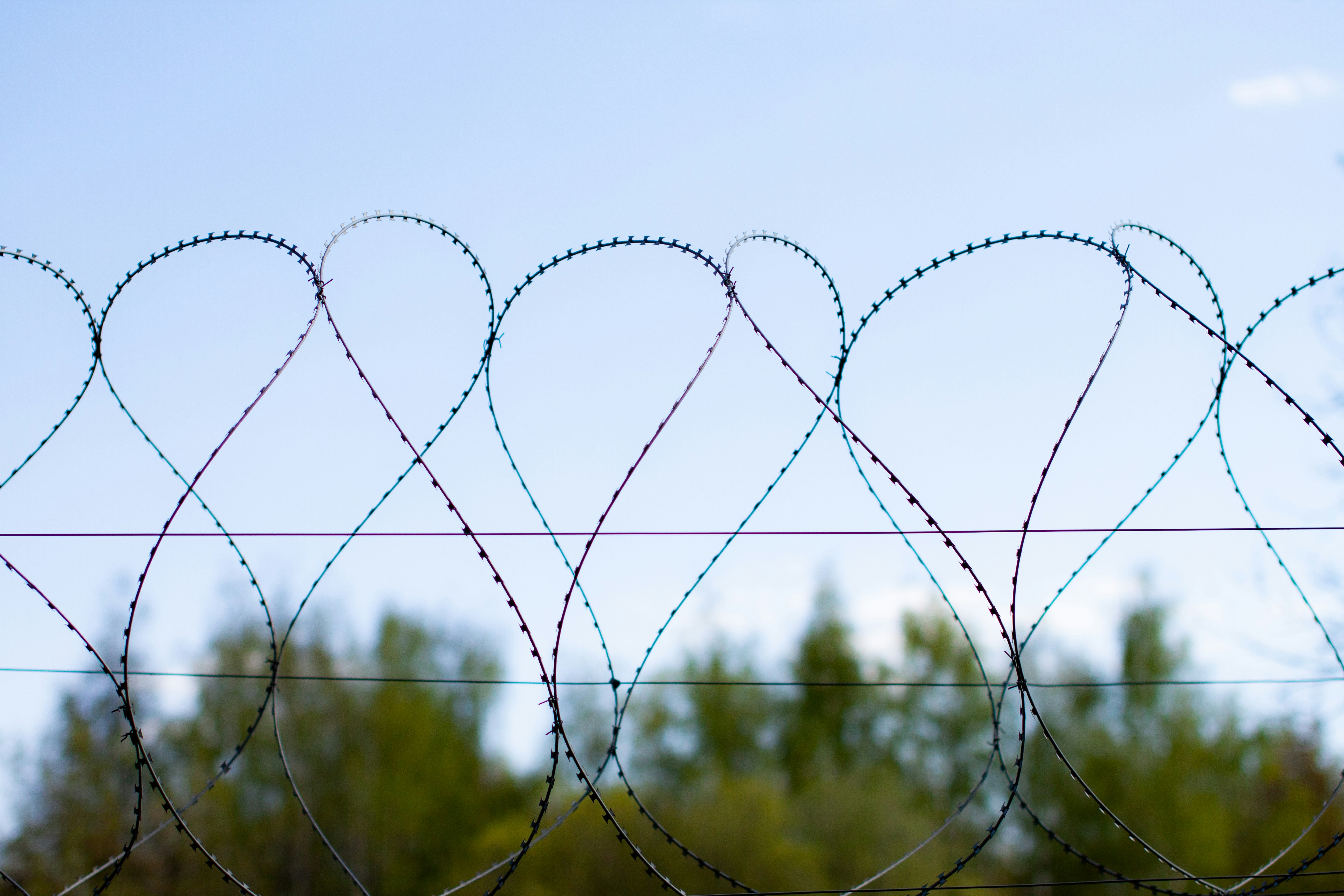 Photo by blackdegus_photo