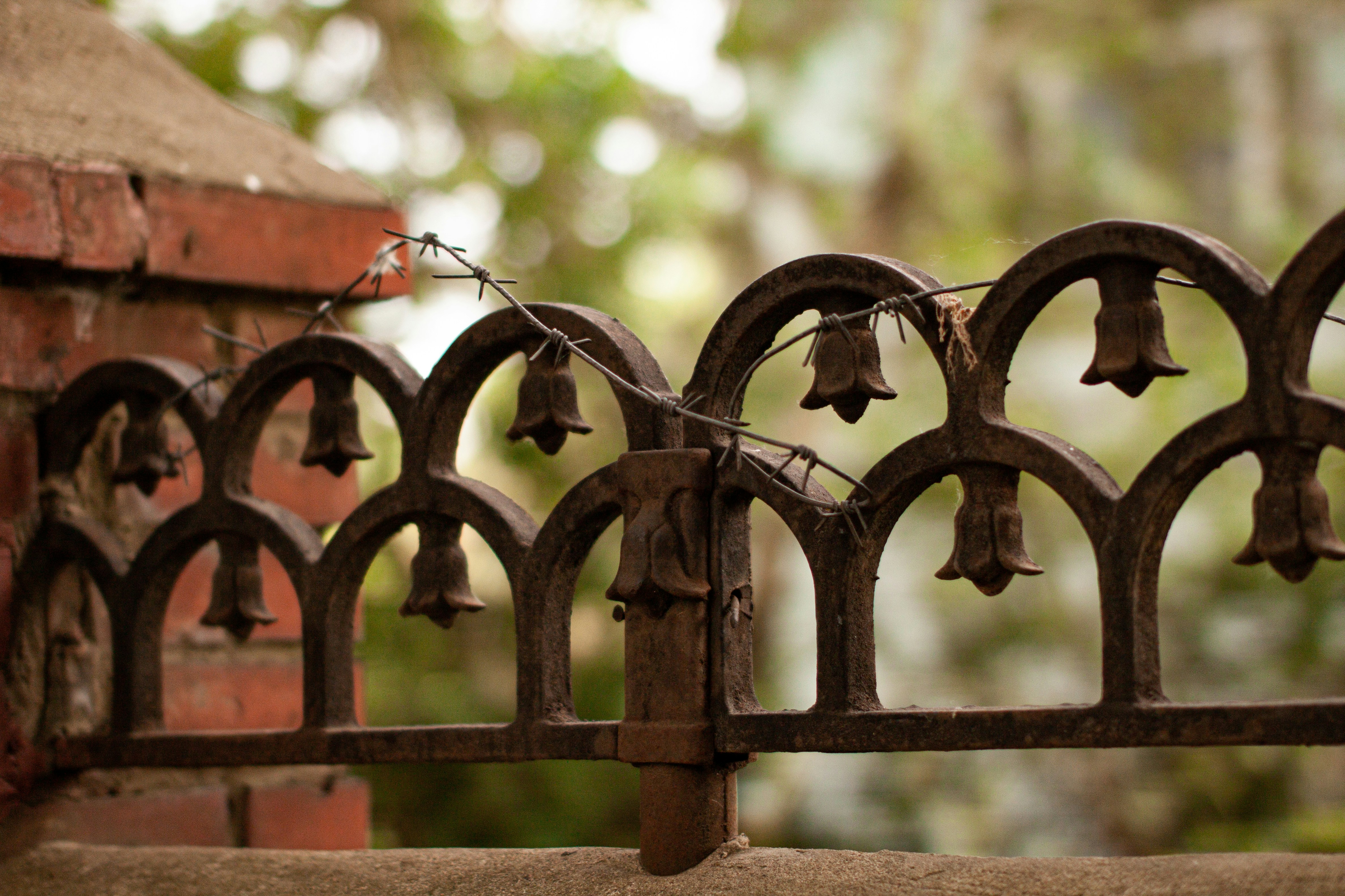 Photo by blackdegus_photo