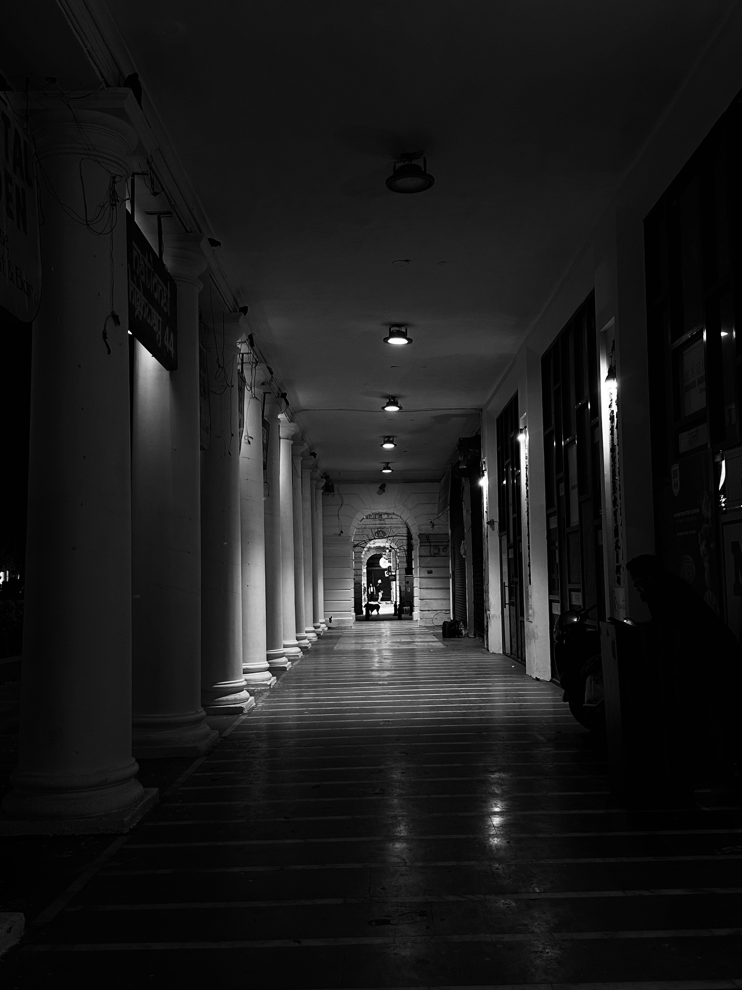 Photo by faizanali01