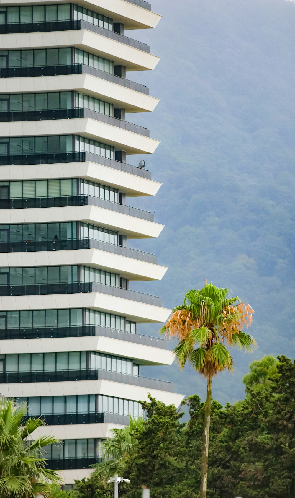 a tall building with a palm tree in front of it