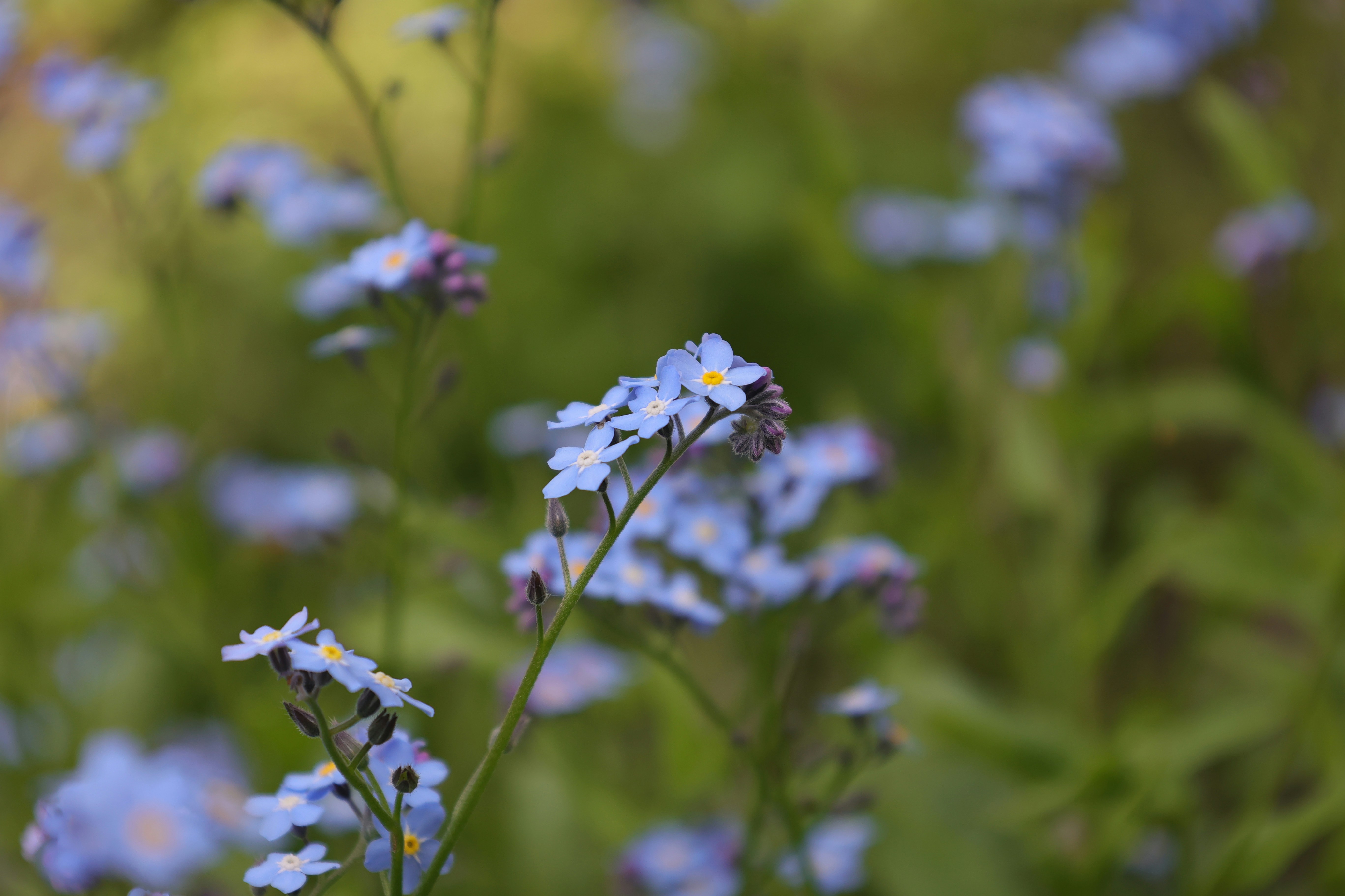 Photo by j_blueberry