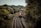 A freight train with multiple cargo containers travels along a curved railway track surrounded by dense, lush green trees. The train is predominantly red and is moving through a heavily wooded area under an overcast sky.