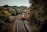 A freight train with multiple cargo containers travels along a curved railway track surrounded by dense, lush green trees. The train is predominantly red and is moving through a heavily wooded area under an overcast sky.