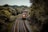 A freight train with multiple cargo containers travels along a curved railway track surrounded by dense, lush green trees. The train is predominantly red and is moving through a heavily wooded area under an overcast sky.