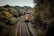 A freight train with multiple cargo containers travels along a curved railway track surrounded by dense, lush green trees. The train is predominantly red and is moving through a heavily wooded area under an overcast sky.