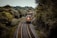 A freight train with multiple cargo containers travels along a curved railway track surrounded by dense, lush green trees. The train is predominantly red and is moving through a heavily wooded area under an overcast sky.