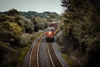 A freight train with multiple cargo containers travels along a curved railway track surrounded by dense, lush green trees. The train is predominantly red and is moving through a heavily wooded area under an overcast sky.