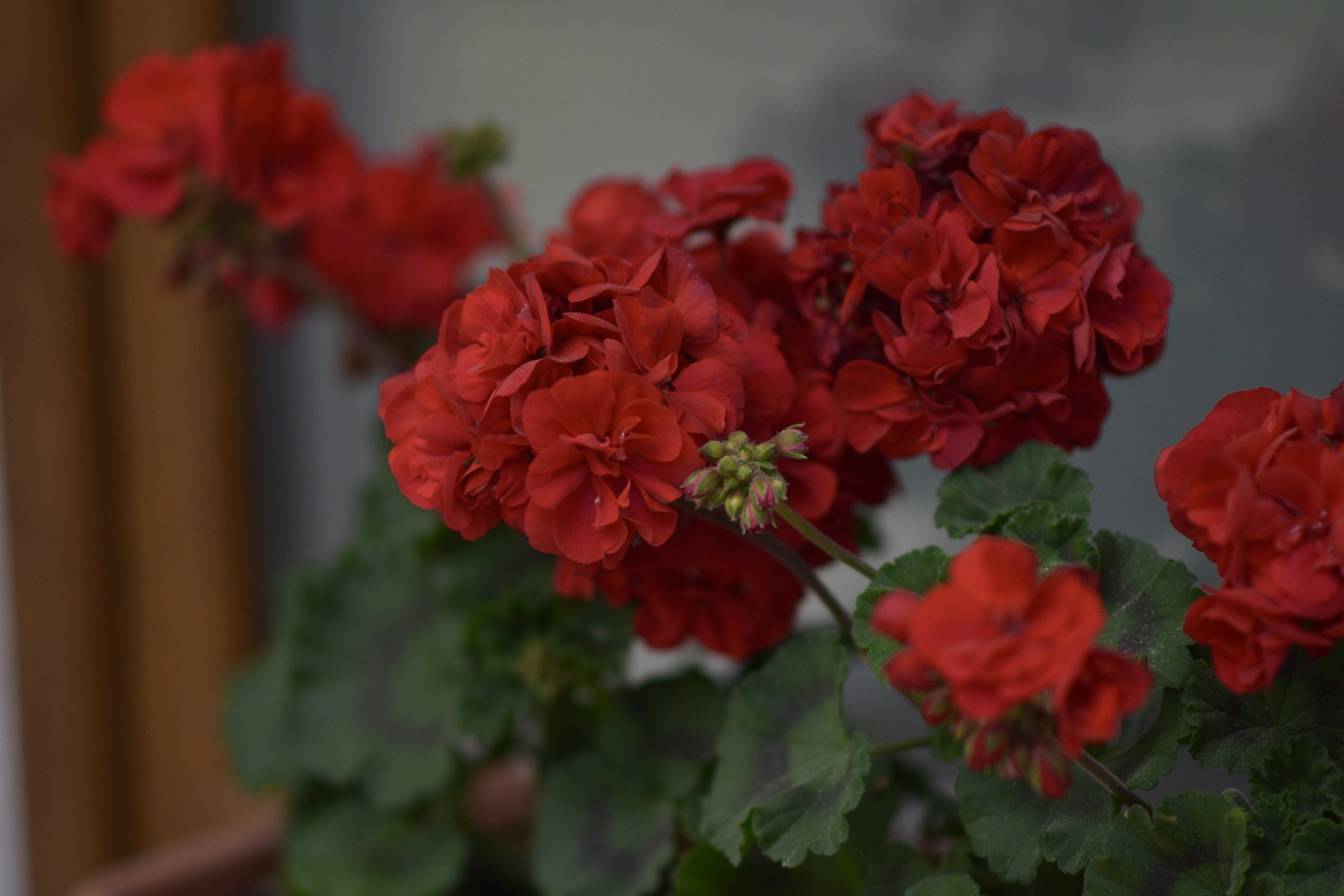 Photo by rebeca_adnana_f