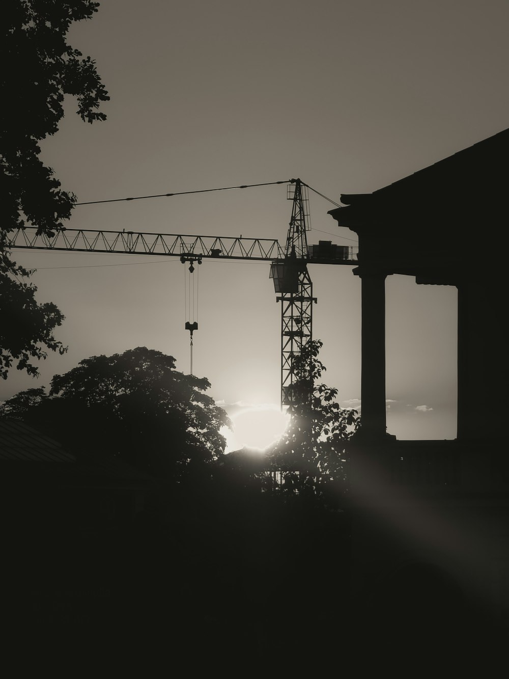 a crane is silhouetted against the setting sun