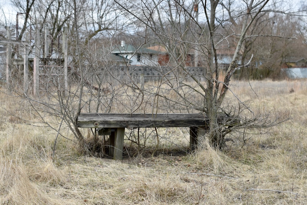 a wooden bench sitting in a field next to a tree