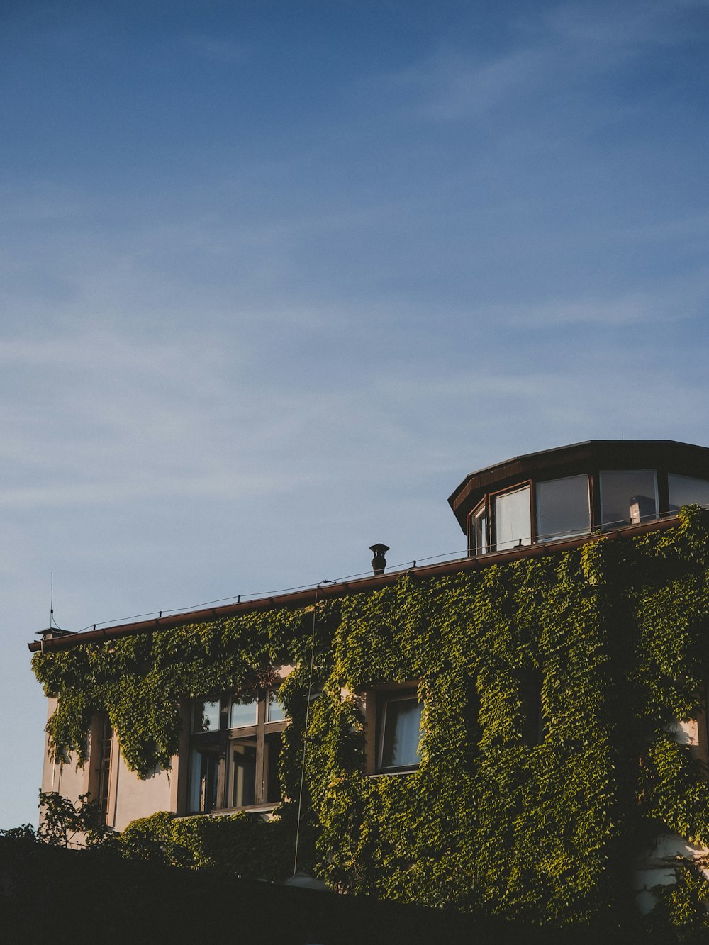 a building covered in green vines under a blue sky