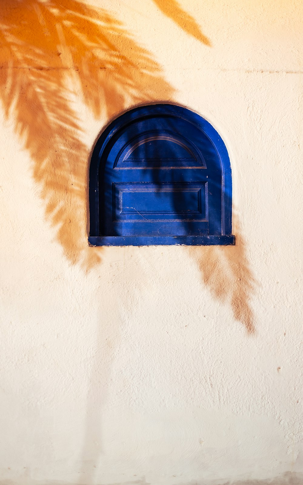 a blue window on a yellow wall with a shadow of a palm tree