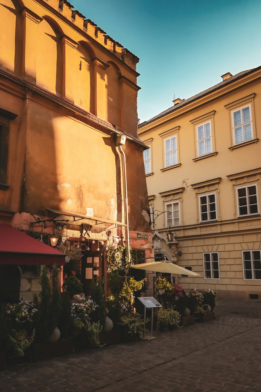 a building with a bunch of potted plants in front of it