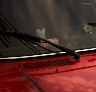 a close up of a red car with a cat in the window