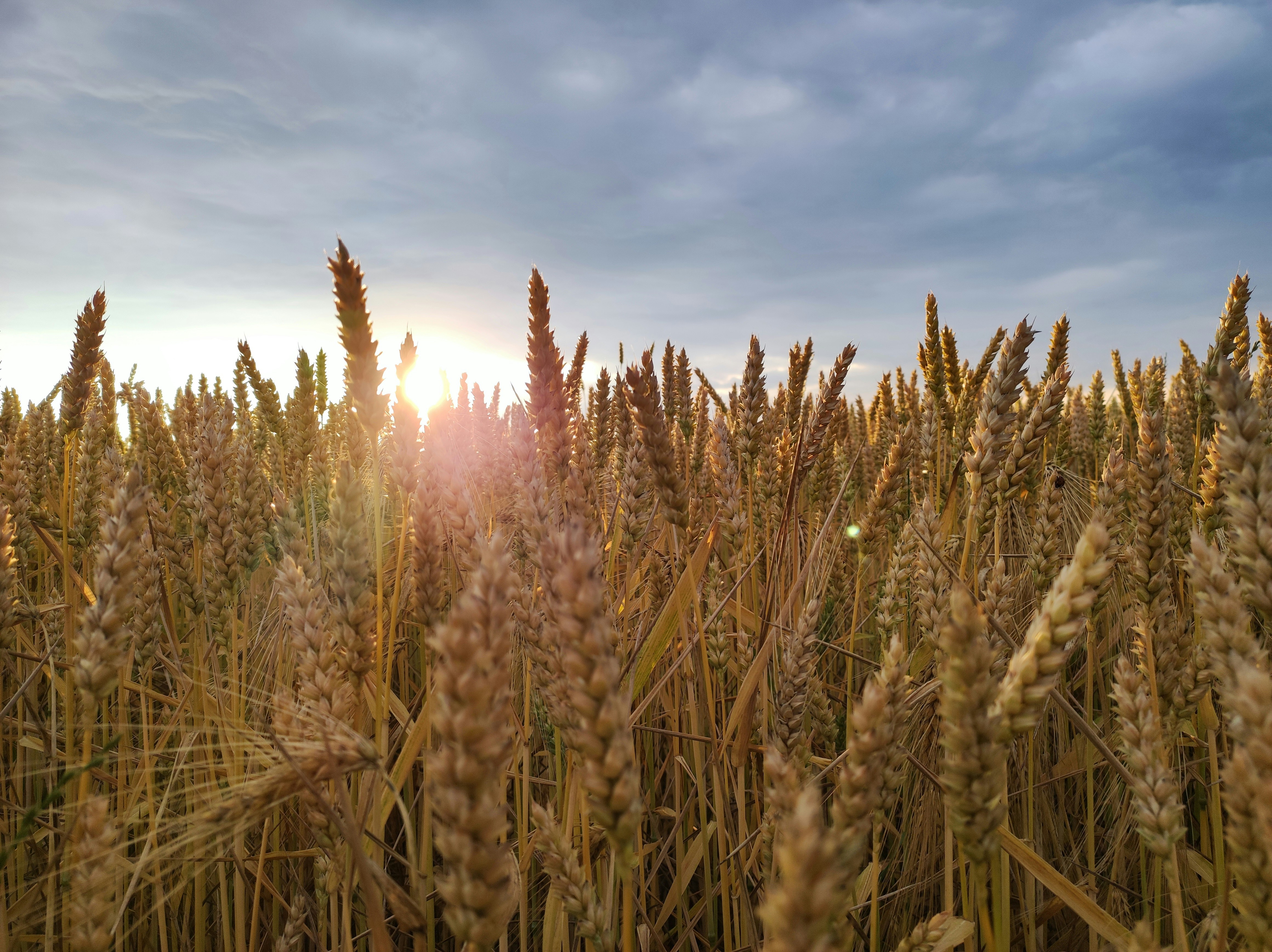 Photo by z_vitaliy_p