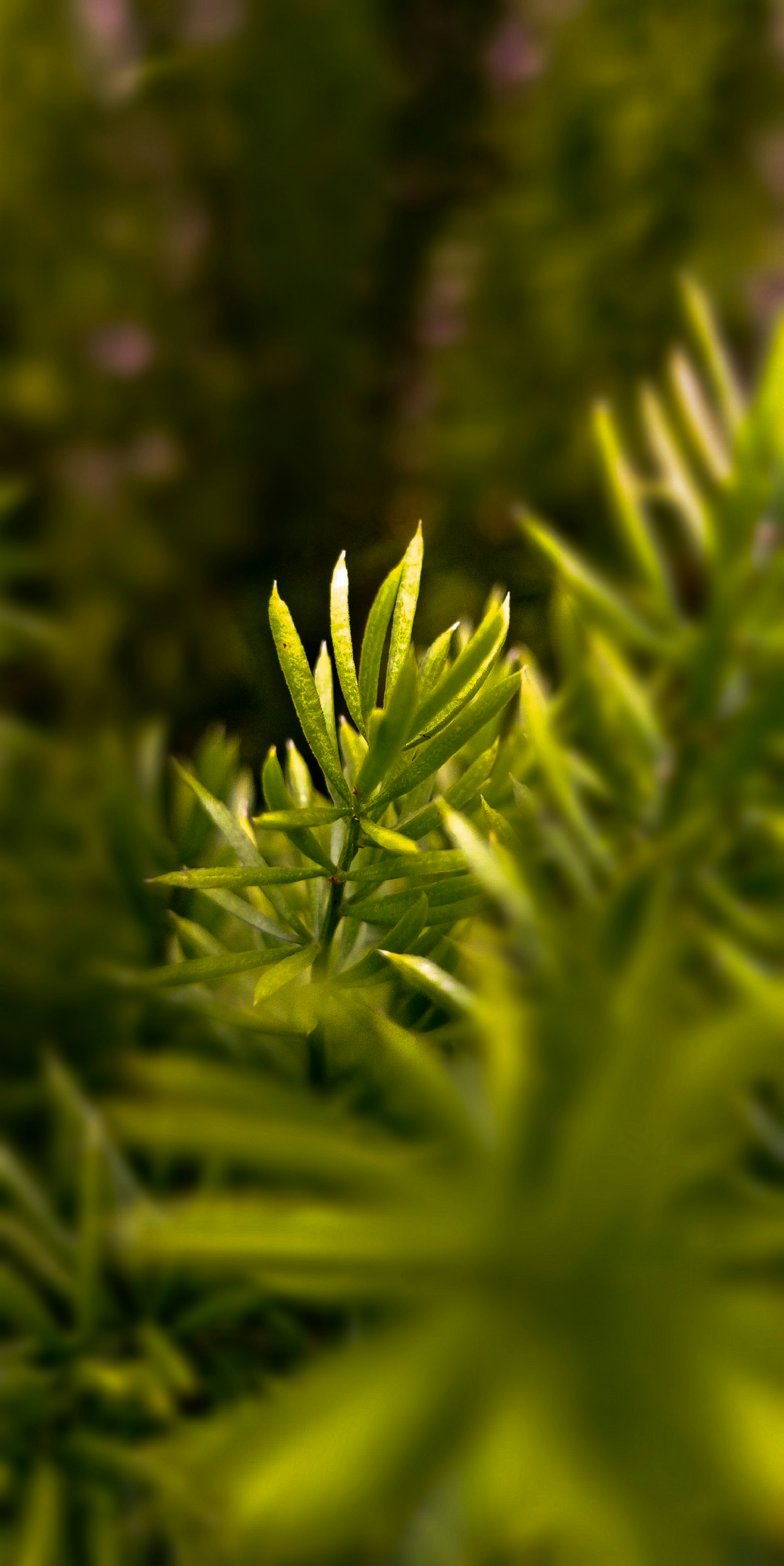 Photo by rahulchopade