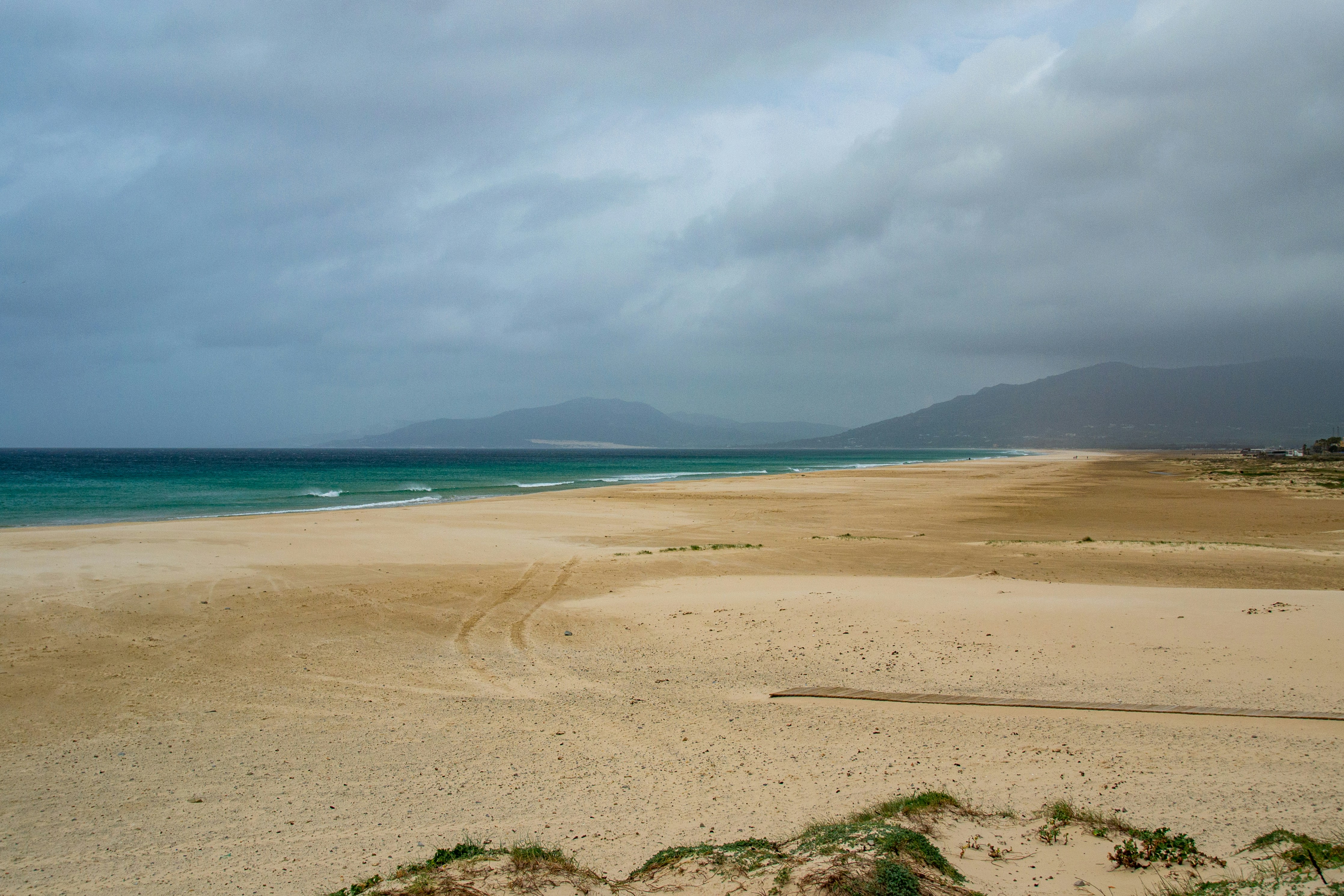 tarifa