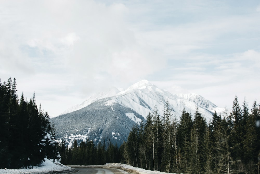 a road with a mountain in the background