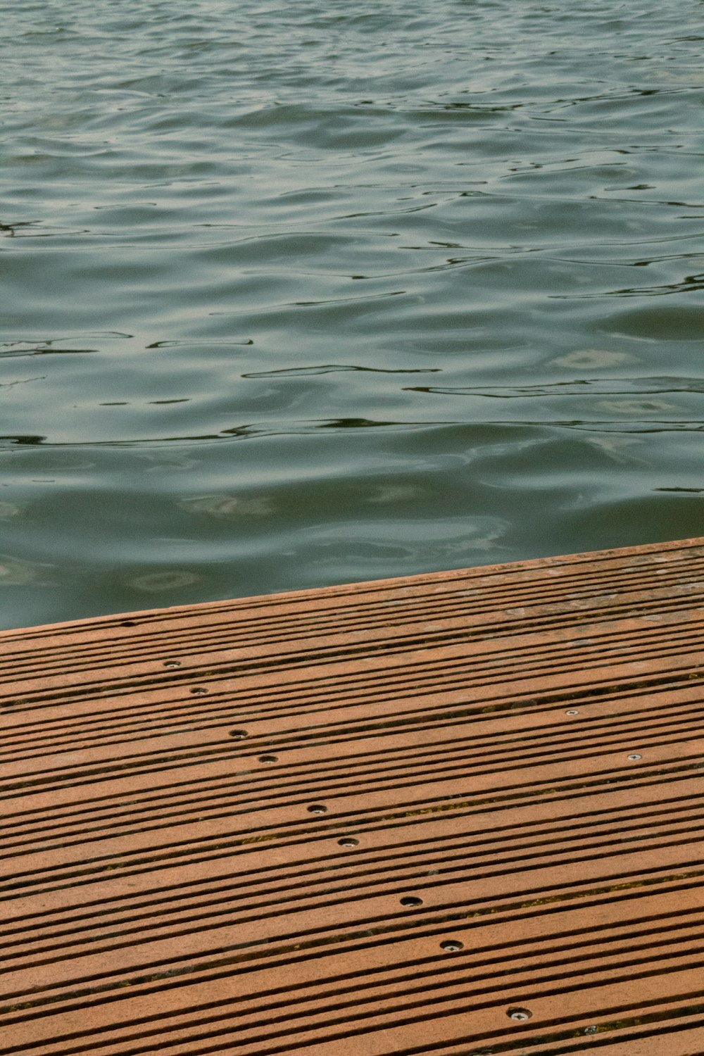 a bird standing on a wooden dock over a body of water