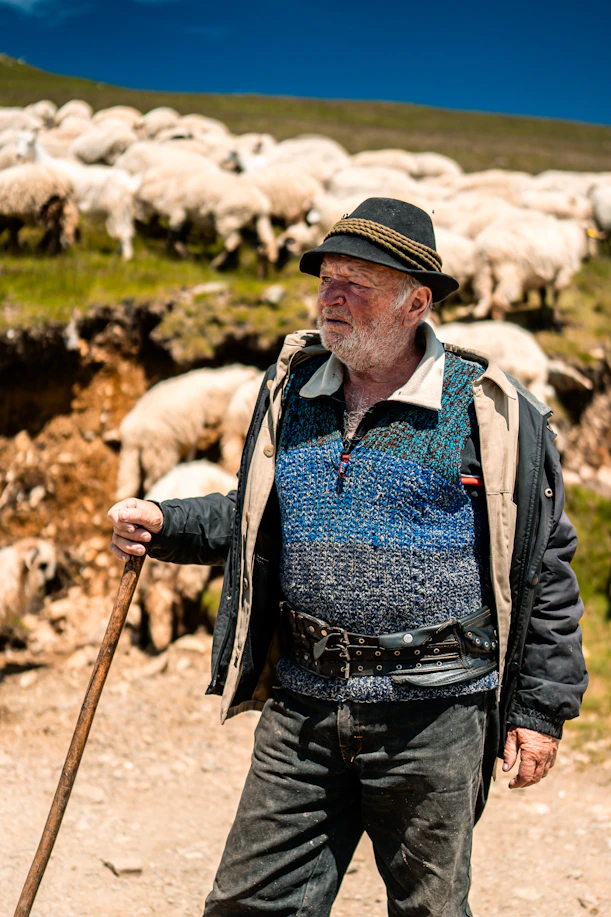a man standing in front of a herd of sheep