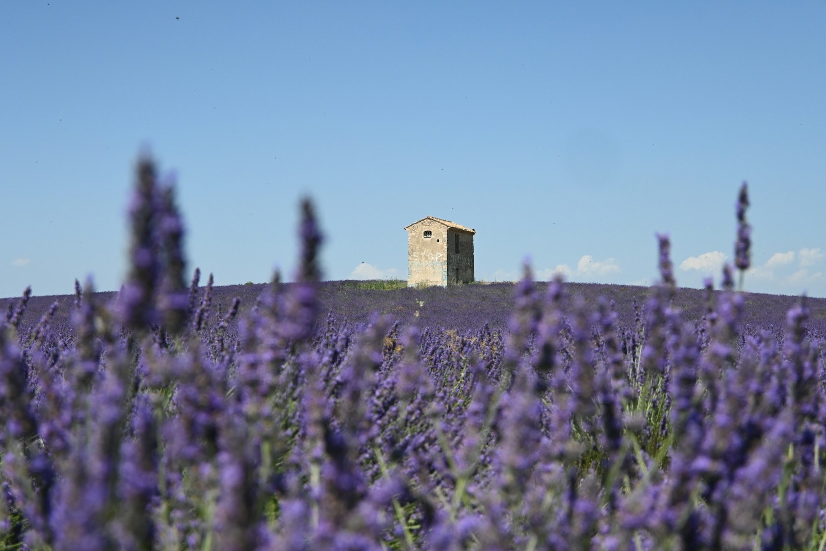 Countryside of Provence