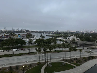 A waterfront scene with a marina full of boats and palm trees lining the shore. In the background, a line of industrial cranes and port facilities are visible under a cloudy sky. Buildings with colorful roofs can be seen alongside the marina, contributing to a mix of industrial and leisure landscapes.