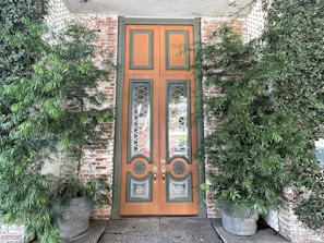 Room entrance with elegant wooden door and plants