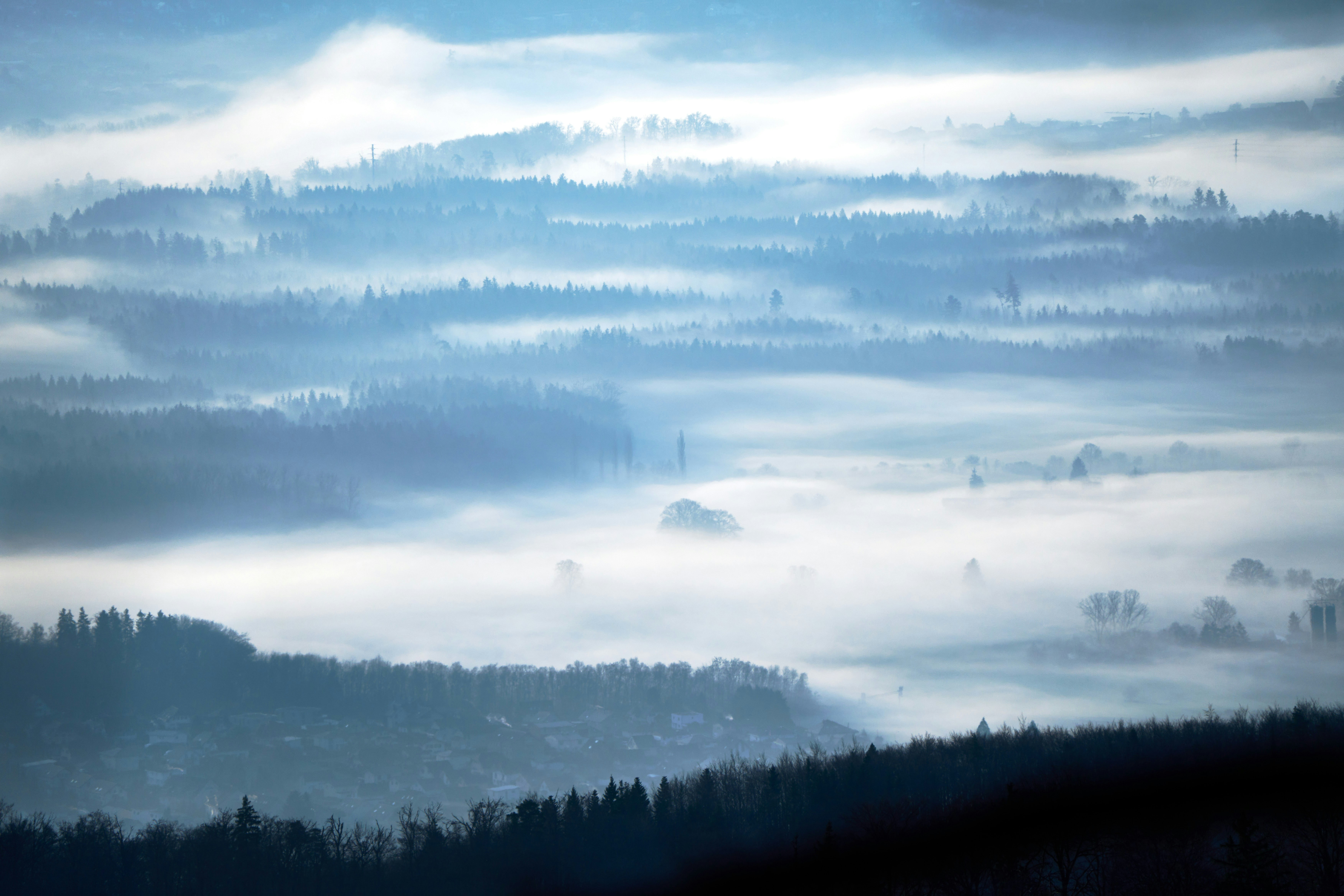 Photo by wolfgang_hasselmann