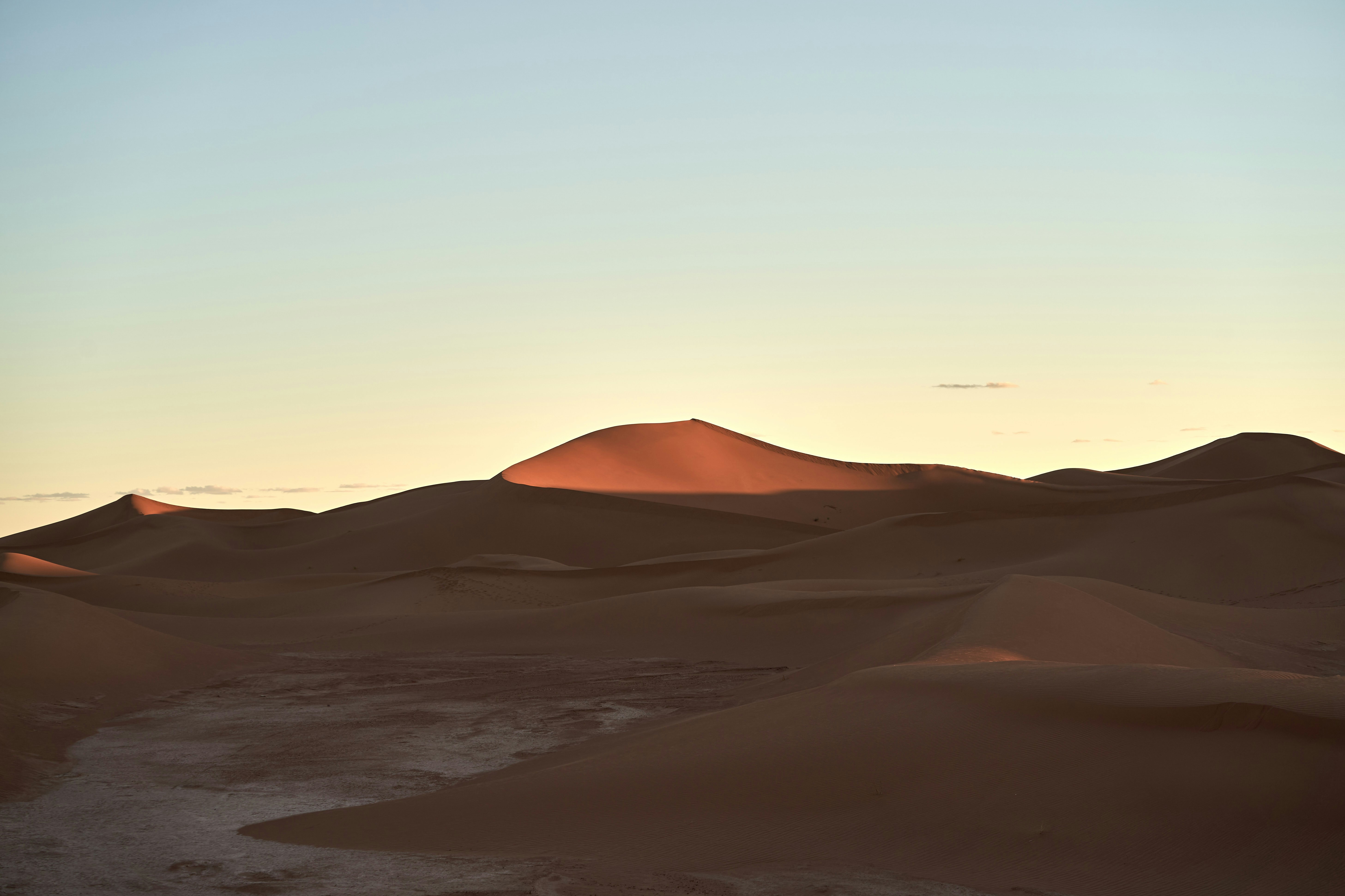 Photo by wolfgang_hasselmann