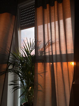 Sunlight filtering softly through green musgo curtains in a cozy therapy room.