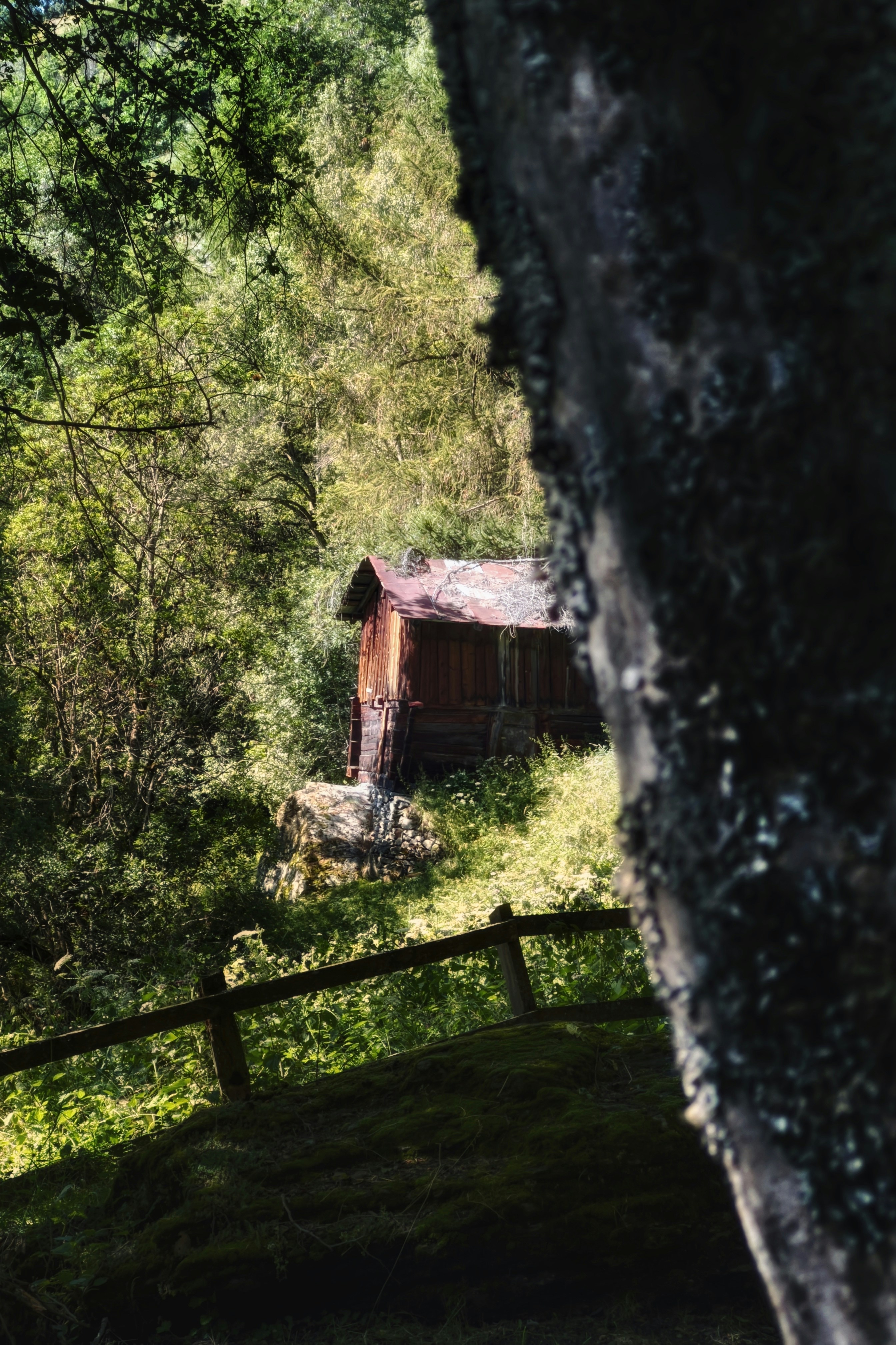 a small cabin in the middle of a forest