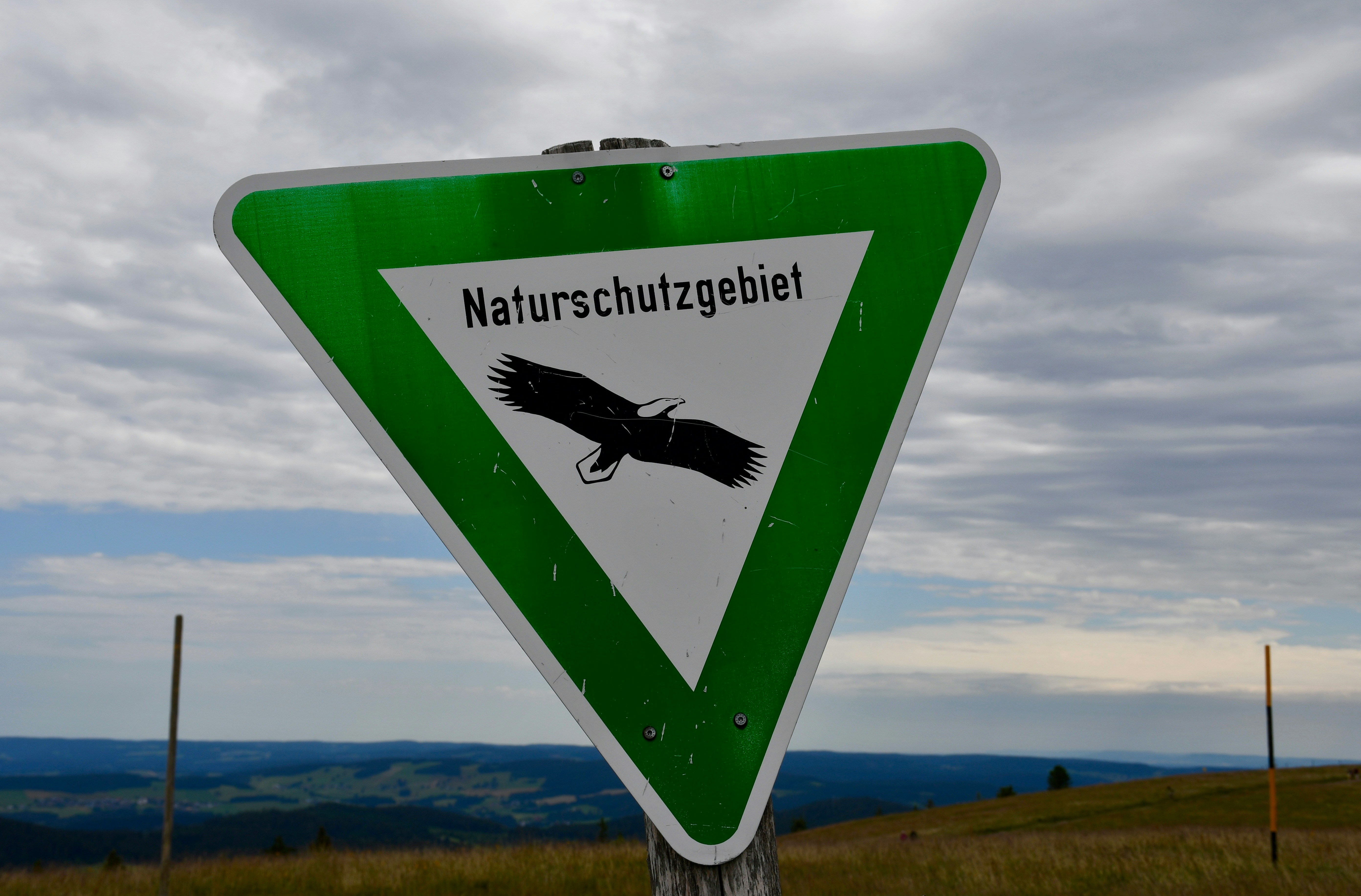 Klima-Katastrophe: Welt wird von Null bis 10 Brutpaaren - Und Deutschland gibt sich um die Ohren!