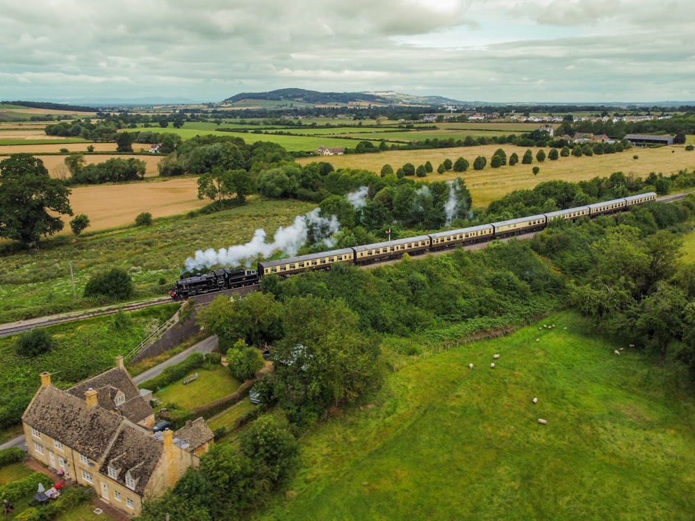 a train traveling through a lush green countryside